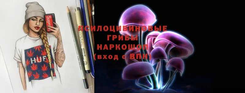 хочу   Ступино  Псилоцибиновые грибы Magic Shrooms 